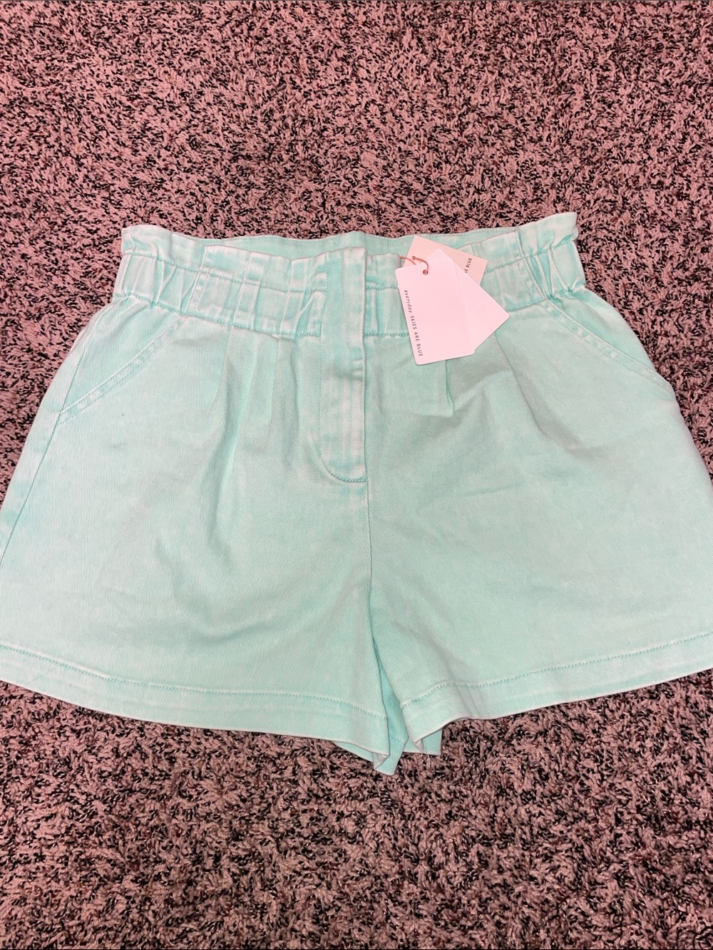 Skies Are Blue Mint High-Waist Paperbag Shorts Size M | NWT - Picture 3 of 9